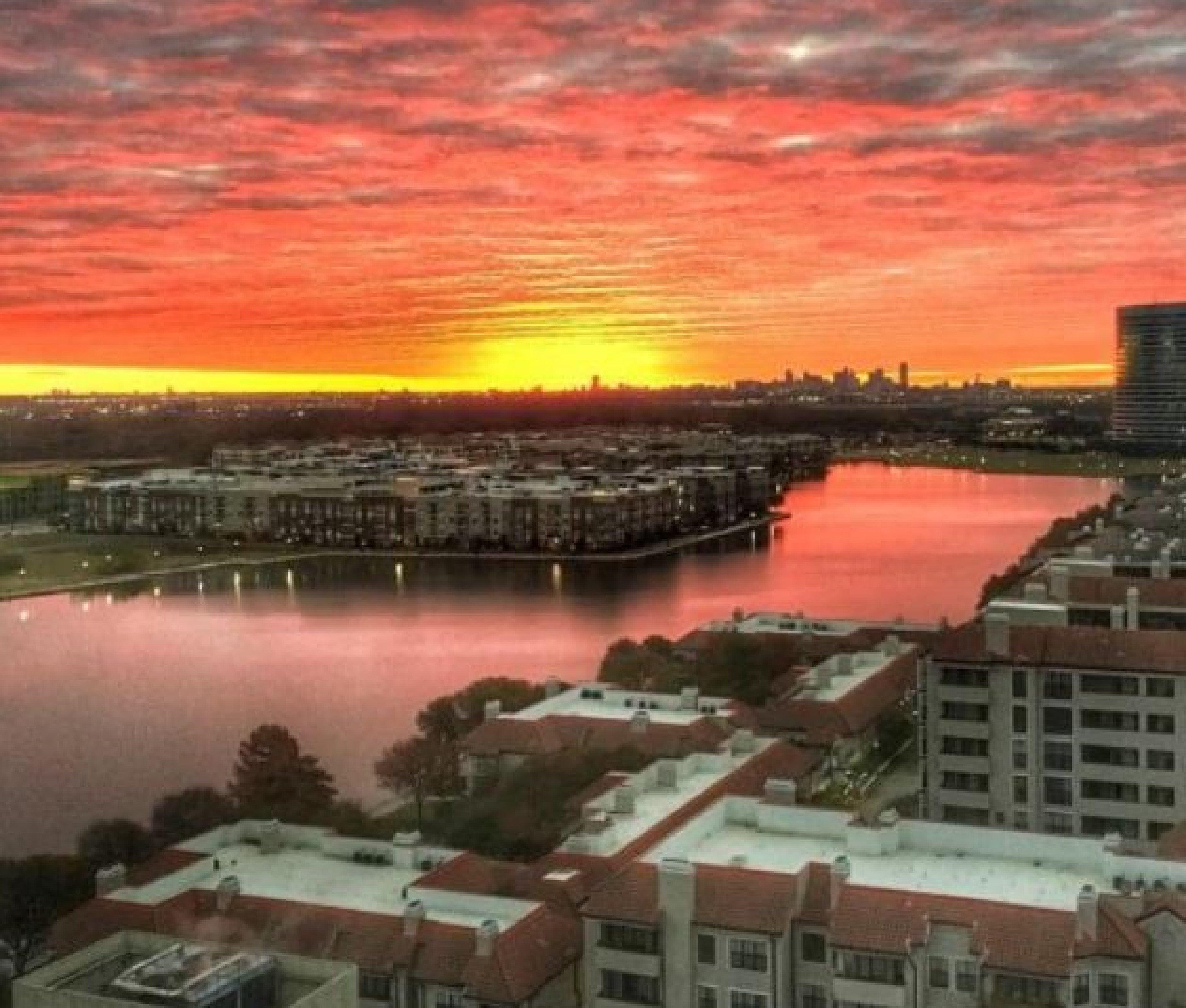 Sonesta Simply Suites Dallas Las Colinas Irving Dış mekan fotoğraf
