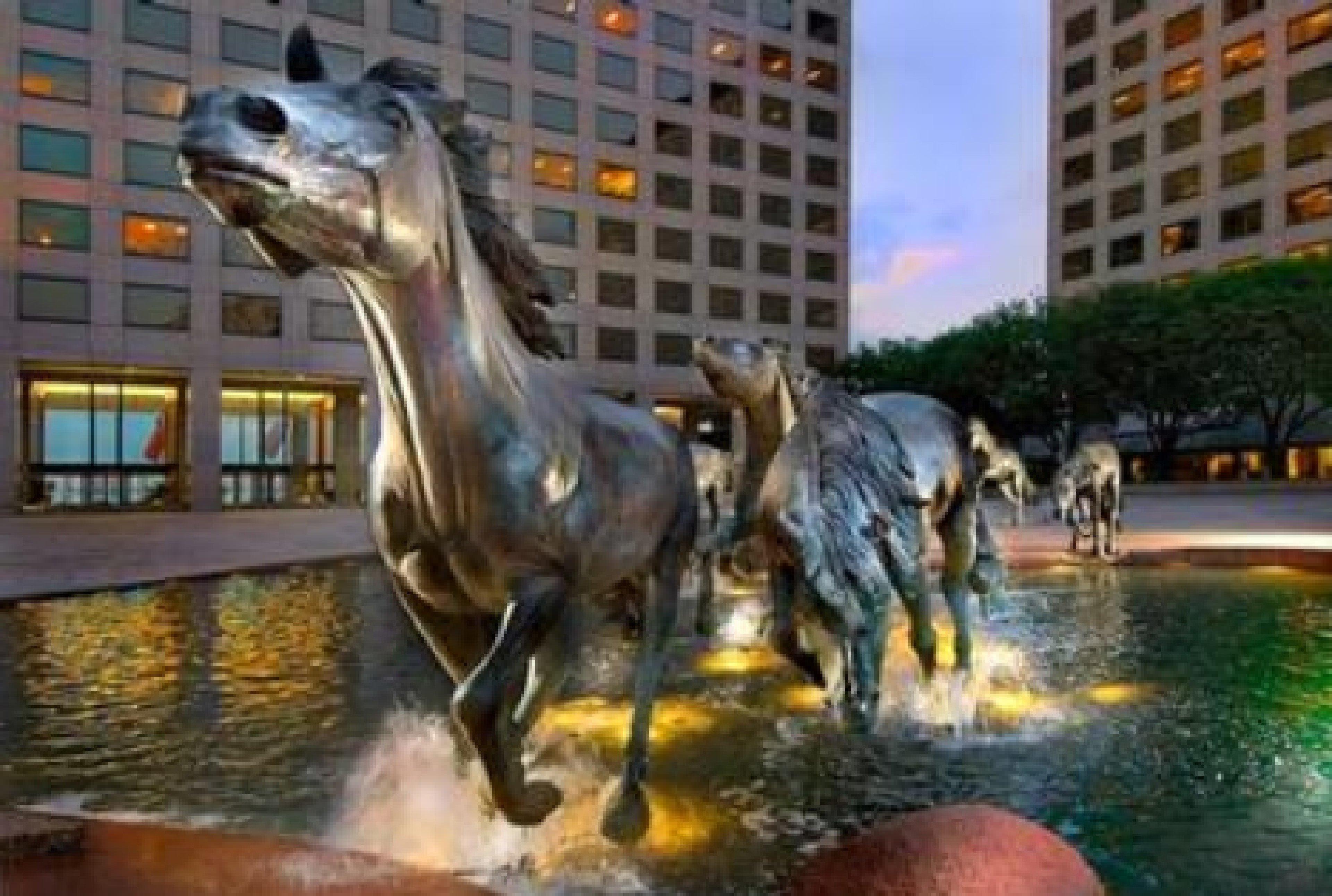Sonesta Simply Suites Dallas Las Colinas Irving Dış mekan fotoğraf